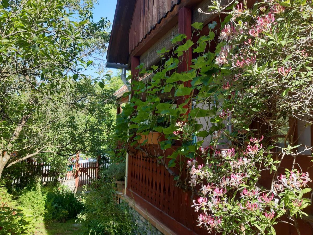 Forrasvoelgy Vendeghaz Daire Jósvafő Dış mekan fotoğraf