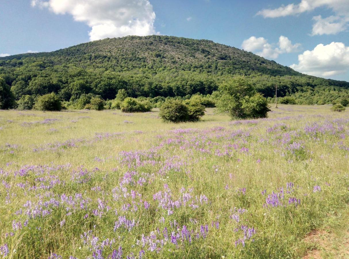 Forrasvoelgy Vendeghaz Daire Jósvafő Dış mekan fotoğraf