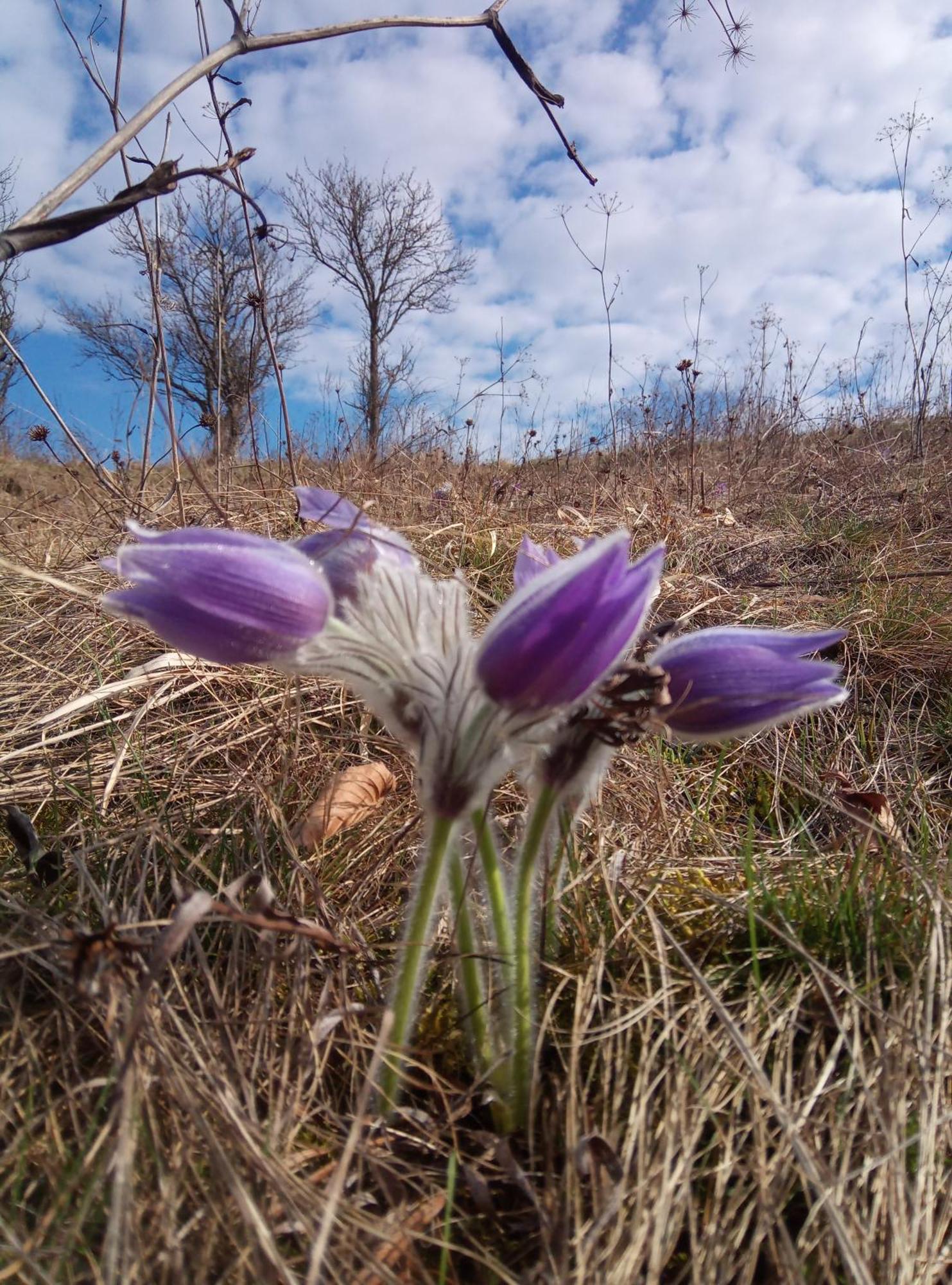 Forrasvoelgy Vendeghaz Daire Jósvafő Dış mekan fotoğraf